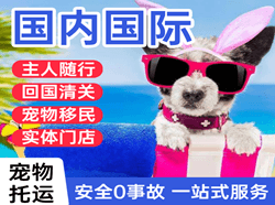 格尔木航空物流国际宠物托运 【国